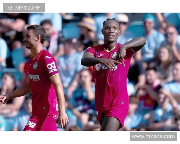 足球星光璀璨背后的奋斗与荣耀:从草根到世界之巅的传奇人生